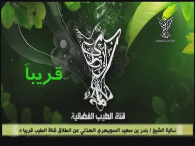 Fréquence Al Tejariah TV channel sur le satellite Autres Satellites - تردد قناة