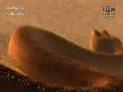 Fréquence Libya Al-Mada sur le satellite Autres Satellites