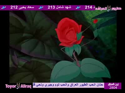 Fréquence Toyor Al-Janah TV sur le satellite Eutelsat 7 West A (7.0°W)